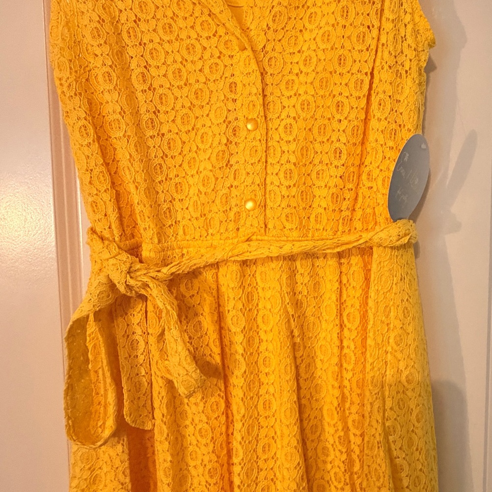 Emma & Michele Sunlit Lace Dress